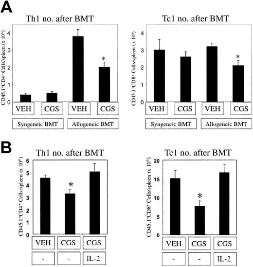 Figure 8. Th1 and Tc1 cell expansion to alloantigen in vivo is inhibited by CGS: reversal by exogenous IL-2. (A) In vitro-generated congenic CD45.1+ donor Th1/Tc1 cells (10 × 106 cells) were injected intravenously into sublethally irradiated syngeneic (C57Bl/6) or semiallogeneic (CB6F1) recipients. After transplantation (BMT), mice were injected daily (intraperitoneally) with either DMSO vehicle (VEH) or the adenosine agonist CGS (2 mg/kg per day). On day 4 after transplantation, spleens were harvested, and the absolute number of Th1 cells (left panel; CD45.1+CD4+ cells) and Tc1 cells (right panel; CD45.1+CD8+ cells) were enumerated by FACS data and total spleen cell counts (n = 5 per treatment cohort; *statistically significant difference). (B) In vitro-generated congenic CD45.1+ donor Th1/Tc1 cells (10 × 106 cells) were injected intravenously into sublethally irradiated semiallogeneic (CB6F1) recipients. After transplantation, mice were injected daily (intraperitoneally) with either DMSO vehicle (VEH) or CGS (2 mg/kg per day) with or without recombinant human IL-2 (10 000 IU/day). On day 5 after transplantation, spleens were harvested, and the absolute numbers of Th1 and Tc1 cells were determined (values are mean ± SEM of n = 5 per treatment cohort). * Statistically significant difference.