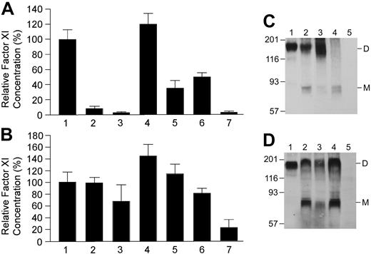 Figure 1. Transfections of 293 cells with fXI/pJVCMV expression constructs. FXI antigen levels in media (A) and cell lysates (B) of transient transfections are shown. 293 fibroblasts were transfected with 80 ng expression construct for individual transfections (columns 1-3) and 80 ng fXI-WT expression construct plus 80 ng construct to be tested for cotransfections (columns 4-6). The negative control in column 7 contains empty pJVCMV vector. Shown are means and standard deviations for 6 separate transfections, each measured in triplicate by ELISA and corrected for transfection efficiency by Renilla luciferase assay. The mean for single fXI-WT transfections was assigned a value of 100%. Lane (1) fXI-WT, (2) fXI-Phe225, (3) fXI-Tyr398, (4) fXI-WT + fXI-WT, (5) fXI-WT + fXI-Phe225, (6) fXI-WT + fXI-Tyr398, (7) pJVCMV without cDNA. Western blots for fXI in lysates of BHK cells transfected with pLg-fXI-IN constructs. Samples from stably transfected cell lines were run on a 7.5% polyacrylamide-SDS gel, followed by Western blotting with goat anti-human fXI polyclonal antibody. (C) Samples are (1) conditioned media from fXI-WT cells and lysates from cells transfected with (2) fXI-WT, (3) fXI-Phe225, (4) fXI-Glu350, and (5) untransfected BHK cells. (D) Samples are (1) conditioned media from fXI-WT cells and lysates from cells transfected with (2) fXI-WT, (3) fXI-Tyr398, (4) fXI-Ser569, and (5) untransfected BHK cells. Positions of dimeric (D) and monomeric (M) fXI are indicated to the right of each panel, and positions of molecular mass standards in kilodaltons are shown on the left. The ratio of dimer to monomer varied between experiments. Note that, with the exception of fXI-Glu350, which does not dimerize,5 patterns for mutants match the wild-type pattern.