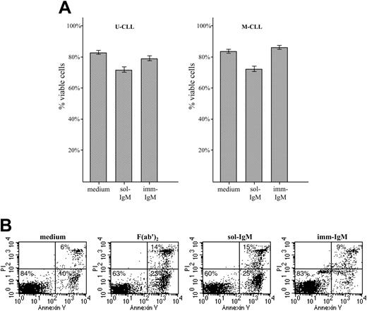 Figure 4. Survival of CLL B cells with unmutated and mutated VH genes after exposure to sol- and imm-IgM. (A) CLL B cells from patients with unmutated (n = 17, left panel) and mutated (n = 20, right panel) VH genes were cultured for 48 hours in the presence of sol-IgM (10 μg/mL complete antibody or 5 μg/mL F(ab′)2 fragments) or 10 μg/mL imm-IgM. Apoptosis was investigated by annexin-V FITC and PI double staining. Values represent the mean percentage of viable (double negative) cells; error bars indicate SEM. (B) Flow cytometry analysis of a representative case with unmutated VH genes (G83).