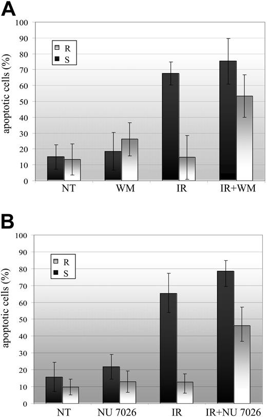 Figure 2. The PI-3 kinase inhibitor wortmannin and the DNA-PKcs inhibitor NU7026 sensitize resistant B-CLL cells to γ-irradiation-induced apoptosis. R indicates resistant B-CLL (n = 5 samples); and S, sensitive B-CLL (n = 7 samples). (A) B-CLL cells were either left untreated (NT) or treated with 1 μM wortmannin alone (WM), with 10 Gy irradiation alone (IR) or with 1 μM wortmannin and 10 Gy irradiation (IR+WM). (B) B-CLL cells were either left untreated (NT) or treated with 10 μM NU7026 alone (NU7026), with 10 Gy irradiation alone (IR), or with 10 μM NU7026 and 10 Gy irradiation (IR+NU7026). Percentages of apoptotic cells are means (± SEM) of duplicate experiments on n B-CLL samples.