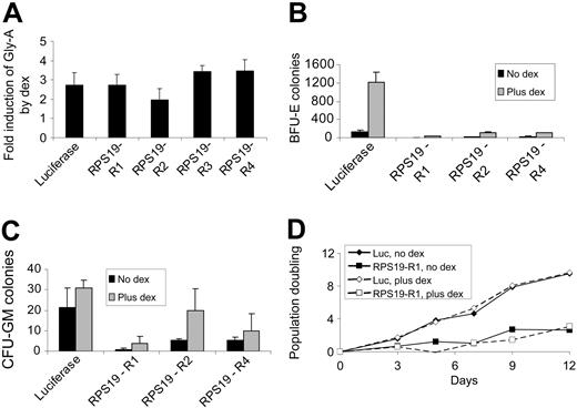 Figure 4. Dexamethasone promotes erythroid differentiation in cells expressing control and RPS19 shRNAs. (A) Human CD34+ cells expressing control (luc) or RPS19 shRNAs were grown in the presence or absence of dexamethasone (dex), and mean Gly-A expression was measured by flow cytometry. Fold induction by dexamethasone is shown as the mean and SEM. (B) Human CD34+ cells expressing control and RP19 shRNAs were grown with or without dexamethasone for 3 days and then plated on methylcellulose. The number of BFU-E colonies is shown as the mean and SEM. (C) CFU-GM colonies from the same cultures as panel B are shown as the mean and SEM. (D) HEL cells expressing the control (luc) or RPS19-R1 shRNA cultured in the presence (-) or absence (—) of dexamethasone were counted by hematocytometer and replated at a constant density.