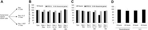 Figure 5. DBA therapies do not regulate the expression of RPS19 or ribosomal genes. As illustrated in panel A, CD34+ cells were treated with Epo plus combinations of dexamethasone (dex), IL-3, and SCF, and gene expression was analyzed using oligonucleotide microarrays. In panels B and C, RPS19 expression and the mean expression of all ribosomal genes in CD34+ cells were assessed by microarrays. Gene expression for each treatment condition and time point is shown relative to gene expression in cells exposed only to Epo. In panel D, RPS19 expression was evaluated by real-time RT-PCR in HEL cells treated with dexamethasone or IL-3. RPS19 expression is depicted relative to untreated cells (mean and SEM).