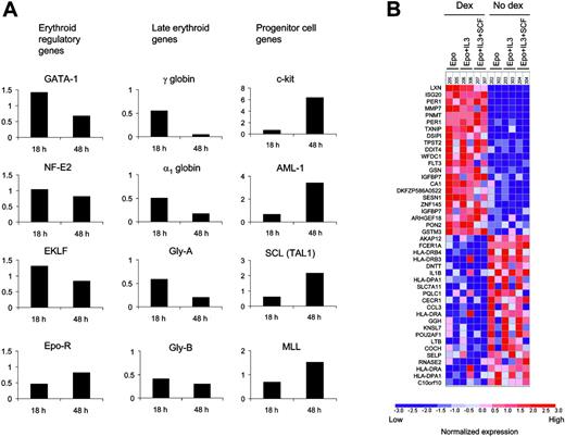Figure 7. Targets of dexamethasone in CD34+ cells were identified by oligonucleotide microarrays. (A) The effect of dexamethasone on the expression of key hematopoietic genes was analyzed in cells grown in the presence of Epo and SCF. The fold change in gene expression in response to dexamethasone at 18 and 48 hours of culture is shown for each gene. (B) Rows correspond to the genes most significantly up-regulated and down-regulated by dexamethasone across cytokine conditions. Each column is a different microarray experiment of CD34+ cells grown for 18 hours in the presence of the indicated cytokines with or without dexamethasone. Table S5 contains a list of genes induced by dexamethasone.