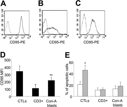 Figure 1. EBV-CTLs express high levels of Fas and are susceptible to Fas-mediated apoptosis. EBV-CTLs (A), freshly isolated CD3+ cells (B), and Con-A blasts (C) were stained with anti-CD95-PE (solid line) or isotype control (dashed lines). (D) The mean fluorescence intensity MFI for CD95 in EBV-CTLs, freshly isolated CD3+ cells, and Con-A blasts are shown. Data are representative of 4 different donors for MNCs and 7 donors for the CTL lines (*P < .001; **P = .002). (E) Fas-mediated apoptosis is shown in EBV-CTLs, Con-A blasts, and isolated CD3+ cells incubated with CH-11 antibody (40 ng/mL; ▦) or in media alone (□). Data represent the mean ± SD of 6 different donors for EBV-CTLs and 4 different donors for isolated CD3+ cells and Con-A blasts (*P < .001).