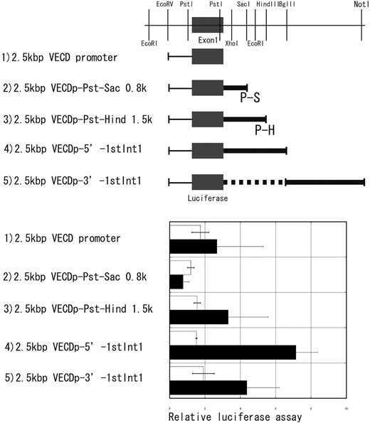 Figure 1. Enhancer activity in the first intron of the vecd gene. Four different fragments indicated by thick lines in this figure were prepared from the first intron of the VECD gene (a restriction map of the first intron was given at the top). Enhancer activity of each fragment was assessed by using the luciferase gene driven by 2.5-kbp 5′ promoter region of the VECD gene. Luciferase activity was measured either in NIH3T3 (□) or F2 (▪) after transient transfection of each construct. Each bar is the mean ± SD of 5 independent experiments.