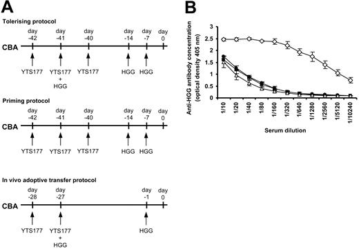 Figure 3. Tolerance to HGG can be induced by administration under the cover of anti-CD4 therapy. (A) CBA mice were pretreated as follows and serum harvested at day 0 for ELISA analysis: tolerizing protocol, 200 μg YTS177 on days -42, -41, and -40 and 500 μg HGG on days -41, -14, and -7; priming protocol, 200 μg YTS177 on days -42, -41, and -40 and 500 μg HGG on days -14 and -7; YTS177/HGG + HGG reactivation protocol for in vivo adoptive transfer, 200 μg YTS177 on days -28 and -27 and 500 μg HGG on days -27 and -1. (B) Anti-HGG antibody titer at day 0. ▵ untreated; • tolerizing protocol; ⋄ priming protocol; ▪ in vivo adoptive transfer protocol; n = 2 in per group. Results are presented as mean ± SD.