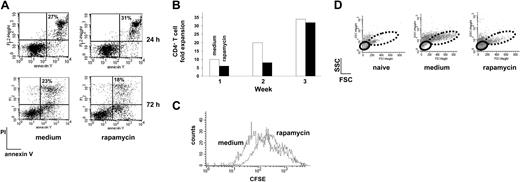 Figure 1. Rapamycin does not block AICD and proliferation of murine CD4+ T cells. (A) DO11.10 tg CD4+ T cells were cultured with APCs plus OVA (medium) or APCs plus OVA plus rapamycin (rapamycin) and AICD was monitored by FACS after 24 and 72 hours of culture. Percentage of propidium iodide-positive (PI+)-annexin V+ cells is indicated in each dot plot. One representative experiment of 2 is presented. (B) Fold expansion of DO11.10 tg CD4+ T cells 1, 2, and 3 weeks after culture in the presence of APCs plus OVA (medium, □) or APCs plus OVA plus rapamycin (rapamycin, ▪) was evaluated by direct cell counts. One representative experiment of 6 is presented. (C) After 3 rounds of stimulation with APCs plus OVA (medium) or APCs plus OVA plus rapamycin (rapamycin), DO11.10 tg CD4+ T cells were stained with CFSE and restimulated with APCs plus OVA in the absence of the compound and of exogenous IL-2. CFSE dilution was monitored 5 days after activation. One representative experiment of 3 is presented. (D) After 3 rounds of stimulation with APCs plus OVA (medium) or APCs plus OVA plus rapamycin (rapamycin), DO11.10 tg CD4+ T cells were left resting for one additional week with no further stimulation in the presence of IL-2 (50 U/mL). At the end of the 7 days cell size was analyzed by FACS by plotting forward scatter (FSC) versus side scatter (SSC) parameters. Small (solid line) and big (dotted line) cells are circled. Naive CD4+ T cells from a DO11.10 tg mouse were used as control. One representative experiment of 6 is presented.