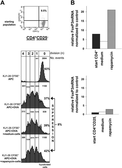 Figure 4. Response of CD4+CD25- T cells activated in the presence of rapamycin. (A) The same experiment described in Figure 3A (left panel) with cells from DO11.10 tg mice was performed using CD4+CD25- T cells cultured for 3 weeks with APCs plus OVA (medium cells) or APCs plus OVA plus rapamycin (rapamycin cells). The cultured cells were added in equal number to naive KJ1-26+CFSE+ cells (105:105) and proliferation was monitored by CFSE dilution. One representative experiment of 3 is presented. FACS profile of the cells used before culture (starting population) is shown on top. (B) Relative levels of mRNA FoxP3 were determined by real-time quantitative RT-PCR in CD4+ (top) or CD4+CD25- (bottom) T cells repetitively activated in vitro with or without rapamycin. The amounts of FoxP3 mRNA are expressed relative to that in splenocytes depleted of CD4+CD25+ T cells (which was given an arbitrary value of 1). Relative levels of mRNA FoxP3 in the cells before culture (▪) are also indicated. One representative experiment of 3 is presented.