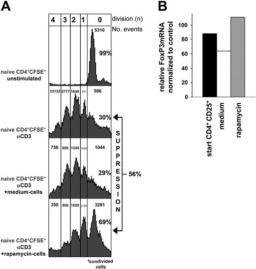 Figure 6. Sorted CD4+CD25+ Tr cells exposed to rapamycin suppress proliferation of syngeneic naive CD4+ T cells and preserve FoxP3 expression. (A) The same experiment described in Figure 3A (right) with cells from Balb/c mice was performed using CD4+CD25+ T cells cultured for 3 weeks with αCD3 plus αCD28 plus 1000 U/mL IL-2 (medium cells) or αCD3 plus αCD28 plus 1000 U/mL IL-2 plus rapamycin (rapamycin cells). The cultured cells were added in equal number to naive CD4+ T cells isolated from Balb/c mice (105:105) and proliferation was monitored by CFSE dilution. (B) Relative levels of mRNA FoxP3 were determined by real-time quantitative RT-PCR in Balb/c CD4+CD25+ T cells repetitively activated in vitro with or without rapamycin. The amounts of FoxP3 mRNA are expressed as relative to amounts in splenocytes depleted of CD4+CD25+ T cells (which was given an arbitrary value of 1). Relative levels of mRNA FoxP3 in the cells before culture (start) are also indicated.