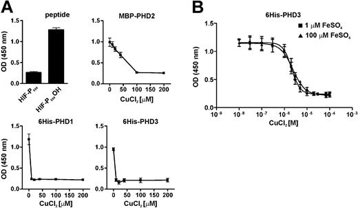 Figure 4. Inhibtion of PHD activity by CuCl2 in vitro. PHD activity was measured in the prescence of oxygen, 2-oxoglutarate, and ascorbate by the binding of a purified pVHL-elonginB-elonginC complex to a HIF-1α-derived peptide bound onto microtiter plates as described in “Materials and methods.” (A) PHD enzyme-free assays using a nonhydroxylated peptide or 40 nM of a hydroxyproline-containing peptide served as negative and positive controls (black bars labeled with HIF-P564 and HIF-P564OH, respectively). PHD1 and PHD3 were obtained from insect cells as 6His fusion proteins and PHD2 was expressed in bacteria as MBP fusion protein. Representative experiments performed in triplicate are shown as mean values ± SD. (B) PHD3-dependent HIF-1α Pro564 hydroxylation activity was determined in the presence of either 1 or 100 μM FeSO4. Shown are mean values ± SD of n = 3 independent experiments. OD indicates optical density.