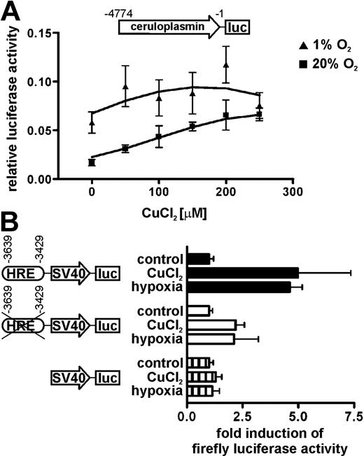 Figure 7. Ceruloplasmin promoter regulation by CuCl2. (A) Hep3B hepatoma cells were transiently cotransfected with a ceruloplasmin promoter-firefly luciferase reporter gene construct together with a renilla luciferase control reporter gene driven by the SV40 promoter. Transfected cells were treated with the indicated CuCl2 concentrations under normoxic or hypoxic conditions. After 24 hours, firefly luciferase reporter gene activity was determined and divided by the renilla luciferase values to correct for differences in transfection efficiency. Shown are mean relative luciferase activities ± SEM of 2 transfections performed in quadruplicate. (B) Hep3B cells were transfected with HRE wild-type and HRE mutant ceruloplasmin enhancer SV40 promoter constructs, or the SV40 promoter alone, driving firefly luciferase expression. Following 24 hours of 150 μM CuCl2 or 1% oxygen, luciferase induction factors compared with the untreated controls were determined. A representative experiment performed in triplicate is shown as mean values ± SEM.