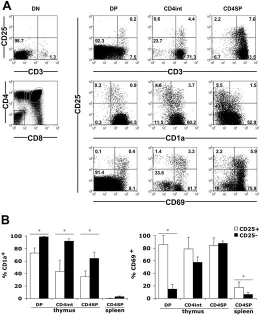 Figure 2. Positive selection of human fetal CD25hi thymocytes. (A) CD3, CD1a, CD69, and CD25 expression in CD4-CD8- (DN), CD4+CD8+ (DP), CD4+CD8lo (CD4int), and CD4+CD8- (CD4SP) thymocytes gated as shown on the bottom left panel. Numbers indicate cell percentages in each quadrant. Data from 20-WG fetuses are shown. (B) Mean percentages ± SD of CD1a+ and CD69+ cells in CD25+ and CD25- lymphocytes within subsets defined as in panel A. Cells were obtained from 8 fetuses (13 to 29 WGs) for CD69 analyses and 6 fetuses (14 to 24 WGs) for CD1a analyses. *P < .05 by Student t test.