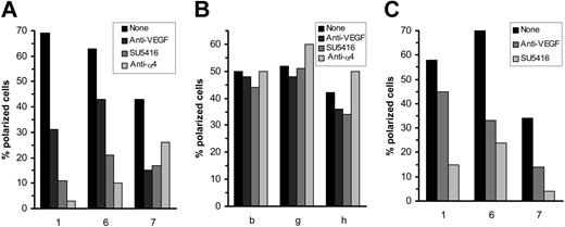 Figure 6. Effect of VEGF and α4 blockade on integrin clustering on CLL and normal B cells. (A) Quantitative data from the experiments illustrated in Figure 5 involving CLL cells incubated on HUVECs. (B) Results for similar experiments performed with normal B cells motile on HUVECs. (C) Results of experiments where CLL cells were cultured on VCAM-1 (+ CCL21). In all 3 panels, for the experiments involving VEGF inhibition, more than 98% of cells showed copolarization of both α4 and αL and the results therefore show the percentage of copolarized cells. However, when the effect of α4 inhibition was examined the cells were stained with αL only, and the percentages given represent the number of cells in which this integrin was clustered. All data were obtained after 5 minutes of incubation.