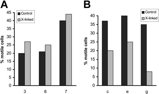 Figure 7. Effect of αL cross-linking on the movement of CLL and normal B cells on VCAM-1. CLL (A) or normal B cells (B) were preincubated with ICAM-1 complexes (see “Patients, materials, and methods”) to cross-link αL. Cells were then filmed by TLVM during culture for 60 minutes on VCAM-1- and CCL21-coated plates.