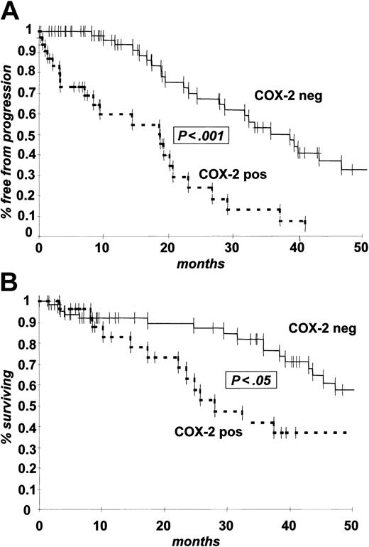 Figure 2. Kaplan Meier estimate of probability of PFS and OS by COX-2 expression status at diagnosis. (A) PFS; (B) OS. Dotted line indicates COX-2-positive patients and solid line COX-2-negative patients by WB expression analysis.