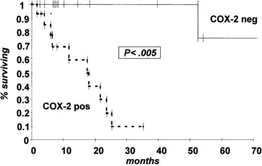 Figure 3. Kaplan Meier estimate of probability of OS by COX-2 expression status at progression relapse. Dotted line indicates COX-2-positive patients and solid line COX-2-negative patients by WB expression analysis.