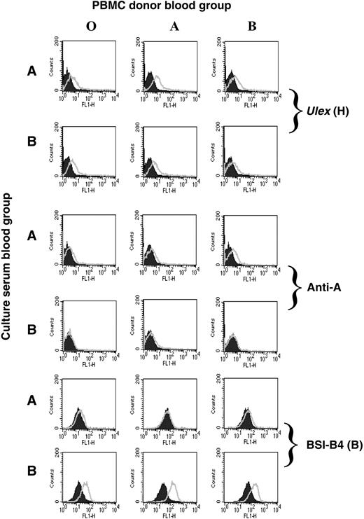 Figure 3. Passive acquisition of ABO antigens from human serum by PBMCs. PBMCs isolated from O, A, or B donors were cultured in 10% human serum from individuals of blood group A or B. The cells were stained for blood group antigen expression using the H-specific lectin (Ulex), a blood group A-specific monoclonal antibody, or the B-selective lectin BSI-B4 (open curves) compared with negative controls (shaded curves), no lectin (H antigen), isotype antibody (anti-A), or the same cells cultured in O serum (B lectin). Both lectins were FITC-conjugated, and a secondary anti-mouse FITC was used for the anti-A staining.