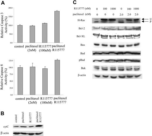 Figure 3. R115777 synergizes with paclitaxel to induce cytochrome c (cyt C) and caspase-3. (A) R115777 (100 nM) synergized with paclitaxel (2 nM) in caspase-3 activation. RPMI8226/S cells were treated with drugs for 48 hours before caspase-3 and caspase-8 activities were assayed. Results represent means and standard deviation of 3 independent experiments. (B) R115777 (100 nM) synergized with paclitaxel (2 nM) in causing cytochrome c release. RPMI8226/S cells were treated with drugs for 72 hours before harvesting for Western blot analysis. (C) Effect of treatment of paclitaxel and R115777 on apoptotic and prosurvival Bcl2 family members. RPMI8226/S cells were treated with drugs at indicated concentrations for 72 hours before harvesting for Western blot analysis.