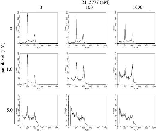 Figure 4. R115777 synergizes with paclitaxel to cause mitotic arrest. RPMI8226/S cells were treated with drugs for 48 hours before being stained with PI and analyzed by flow cytometry. Representative cell-cycle profiles of cells with different drug treatments are shown.