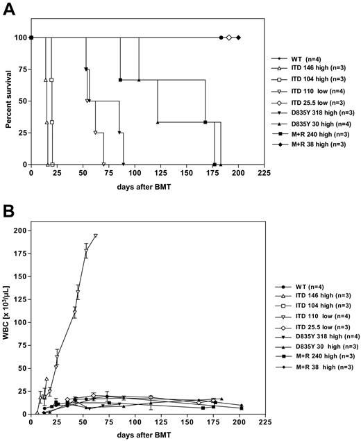 Figure 2. Survival and peripheral blood leukocyte count of mice that received a transplant of FLT3-transduced bone marrow. (A) Kaplan-Meier survival curve and (B) peripheral blood leukocyte count (WBC) for recipients of bone marrow transduced with FLT3-WT, FLT3-ITD, FLT3 D835Y, and FLT3 I836M+R. All mice died or were killed because of disease conditions. The numbers indicate the total number of transplanted EGFP-positive cells. The construct used for transplantation with FLT3-ITD-transduced bone marrow is indicated by “high” and “low” for the high- and the low-expressing construct, respectively. Error bars indicate standard deviation (SD).