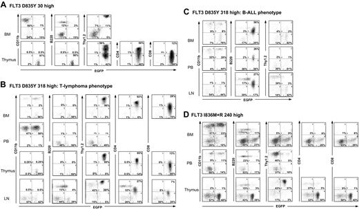 Figure 6. Immunophenotype of malignant cells from recipients of FLT3-TKD mutants. (A) Flow cytometric analysis of bone marrow and thymus cells from mice receiving 30 000 FLT3 D835Y-positive bone marrow cells (FLT3 D835Y 30high). Flow cytometric analysis of (B) bone marrow (BM), peripheral blood (PB), thymus, lymph node (LN) cells, and (C) bone marrow, peripheral blood, and lymph node cells from mice receiving 318 000 FLT3 D835Y-positive bone marrow cells (FLT3 D835Y 318high). (B) The T-cell phenotype. (C) The B-ALL phenotype. (D) Flow cytometric analysis of bone marrow, peripheral blood, and thymus cells from mice receiving 240 000 FLT3 I836M+R-positive bone marrow cells (FLT3 I836M+R 240high). Two-parameter dot plots show expression of lineage-specific antigens (CD11b, B-220, Thy1.2, CD4, CD8) versus EGFP. Numbers indicate the percentage of cells in each quadrant.
