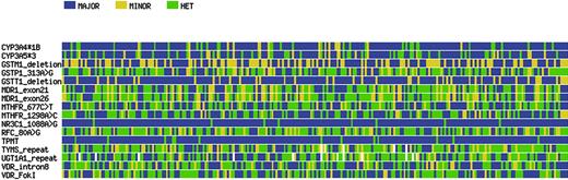 Figure 2. Visual genotype graph for 16 polymorphic loci (rows) among the 246 patients (columns) with ALL treated in the Total XIIIB Protocol. Those homozygous for the major allele are depicted in blue, homozygous for the minor allele in yellow, and heterozygous are in green. For GSTM1 and GSTT1 deletions, the nonnull and the null genotypes are represented in blue and in yellow, respectively. The rare genotypes for TYMS and UGT1A1 were excluded from the plot (in white).