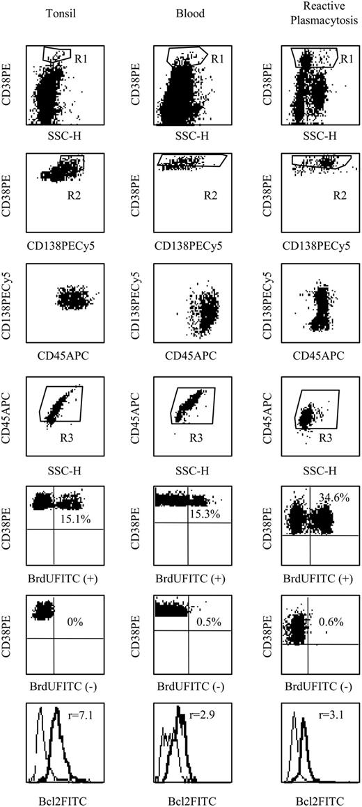 Figure 2. CD45 phenotype and LI of tonsillar, peripheral normal, and reactive PCs. Analysis of phenotype, LI, and Bcl-2 expression in PCs isolated from tonsil and blood. PCs were identified by CD38++ expression (SSC/CD38) since CD138 expression was low in tonsil PCs and heterogeneous in peripheral PCs.