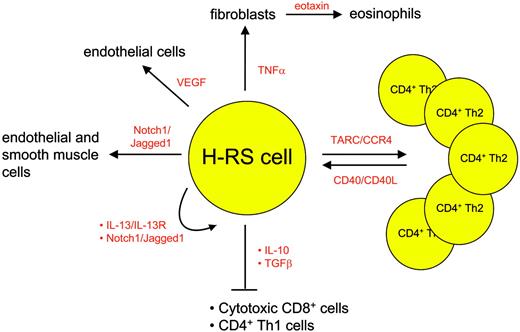 Figure 2. Examples of chemokines and cytokines mediating interaction between H-RS cells and bystanding cells.