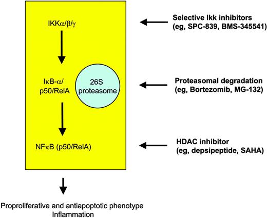 Figure 4. Targeted strategies for modulation of NFκB in order to overcome the proproliferative and antiapoptotic phenotype of H-RS cells in HL.
