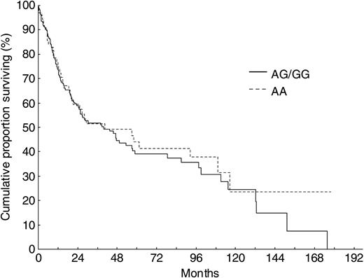 Figure 1. Overall survival for the 244 patients with DLBCL with the IL-10-1082AG/GG (174 cases) or IL-10-1082AA (70 cases) genotype.