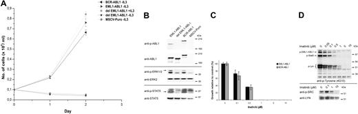 Figure 2. Analysis of transforming properties and imatinib sensitivity of EML1-ABL1. (A) Ba/F3 cells retrovirally transduced with indicated constructs were grown in the absence or presence of IL3. Their mean growth ± SD was recorded over a period of 3 days. (B) Western blot analysis of retroviral-transduced Ba/F3 cells. Constitutive activation of EML1-ABL1 and BCR-ABL1 kinases is shown by immunoblotting with anti-phospho-ABL1 (anti-p-ABL1). Expression of the 3 ABL1 fusion proteins is demonstrated using an anti-ABL1 antibody. Activation of Erk1/2 and Stat5 is demonstrated using anti-phospho-ERK1/2 and anti-phospho-STAT5 antibodies. (C) EML1-ABL1- and BCR-ABL1-transduced Ba/F3 cells were treated with the indicated concentrations of imatinib and cell survival was quantified after 24 hours. Cell survival in the absence of imatinib (= control) was set at 100%; the results represent the average ± SEM of 3 determinations. (D, top panel) Western blot showing the effect of imatinib treatment on EML1-ABL1-expressing Ba/F3 cells. Total cell lysates were analyzed using antiphosphotyrosine (4G10) antibody, indicating a dose-dependent decrease in phosphorylation of EML1-ABL1, Stat5, and Lyn upon imatinib treatment. (D, bottom panel) Decrease of Lyn activity upon imatinib treatment was confirmed by immunoprecipitation of Lyn followed by detection of its phosphorylation on Tyr396 with anti-phospho-SRC. The blot was stripped and reprobed with anti-LYN.