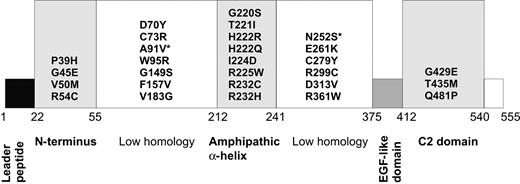 Figure 1. The location of 2 common perforin polymorphisms and missense mutations identified in HLH. The putative domains of perforin are indicated as boxes, and the numerals indicate the approximate amino acid boundaries for each domain, designating the first residue of the leader as residue 1. The N-terminus is predicted to have lytic properties; 2 low-homology regions have no significant similarity to other mammalian protein domains; amphipathic α-helix is homologous to regions of the complement membrane attack complex components C5b to C9; the EGF-like domain is structurally similar to ubiquitous EGF domains, primarily due to highly conserved cysteine residues; the C2 domain is the calcium-binding region responsible for membrane binding of perforin. The asterisked residues A91V and N252S refer to suspected PRF1 polymorphisms.