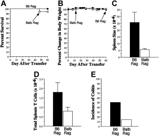 Figure 3. GVHD T cells cause colitis when transferred into syngeneic Rag mice. Lethally irradiated (900 cGy) Balb mice received transplants of TCD B6 BM plus 3 × 105 B6 spleen cells. Mice were killed 20 to 27 days after transplantation. Spleen cell suspensions were then transferred into either B6 (▪, n = 18) or Balb (□, n = 17) Rag mice. In most experiments, spleen cells were pooled from multiple GVHD animals before transfer into Rag recipients. Mice in both cohorts received an equivalent number of T cells in the spleen cell suspension, ranging between 0.3 and 1 × 106 in replicate experiments. Survival (A), serial weight curves (B), spleen cellularity (C), and total number of splenic T cells (D) are shown. Data in panels C and D are presented as the mean ± SEM. (E) Incidence of colitis in B6 and Balb Rag recipients of GVHD T cells. Data are derived from 6 independent experiments.