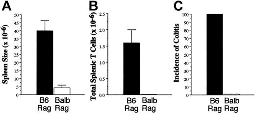Figure 5. Autoimmunity can be transferred in syngeneic recipients. Lethally irradiated (900 cGy) Balb mice received transplants of TCD B6 BM plus 3 × 105 B6 spleen cells. Spleen cells were obtained from GVHD animals 22 days after BMT and transferred into B6 Rag recipients for 67 days. Mice were then killed, and pooled spleen cells were transferred into either B6 or Balb Rag animals (n = 4/group). Mice were killed 61 days after transfer and analyzed for overall spleen cellularity (A), absolute number of splenic T cells (B), and incidence of colitis (C). Data are presented as the mean ± SEM.