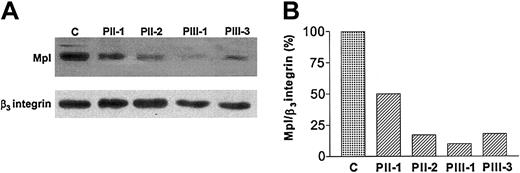Figure 4. Analysis of platelet Mpl levels by Western blot. Platelet lysates (20 μg per lane) were separated by 8% SDS-PAGE and immunoblotted with an anti-human Mpl antibody and an HRP-conjugated second antibody. Detection was carried out by chemiluminescence. To control for protein loading, membranes were reprobed with an anti-β3 integrin antibody. (A) Representative Western blot experiment shows the results of a healthy control (C) and patients (P), who reveal decreased Mpl levels. (B) Expression of Mpl relative to that of β3 integrin. Bars represent the ratio of Mpl to β3 integrin, which was calculated by densitometry and expressed as percentage of healthy controls (n = 6), set as 100%. Data represent the mean of 3 separate experiments.