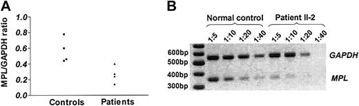 Figure 6. MPL transcript levels in platelets by semiquantitative RT-PCR. MPL mRNA was amplified from leukocyte-depleted platelets after reverse transcription with primers specific to the P isoform. Amplification of GAPDH was used as internal control. A ratio between them was calculated by densitometry after electrophoresis in 2% agarose gel and staining with ethidium bromide. (A) ▪ represents MPL/GAPDH ratio in healthy controls while ▴ indicates MPL/GAPDH ratio in patients. Results represent the average of 2 experiments. (B) Representative RT-PCR assay. MPL and GAPDH were amplified from sequential 1:5, 1:10, 1:20, and 1:40 cDNA dilutions from a healthy control and patient II-2, yielding 354-bp and 554-bp products, respectively. MPL transcripts are expressed at lower levels in the patient's sample. A 100-bp DNA ladder is shown on the left lane.