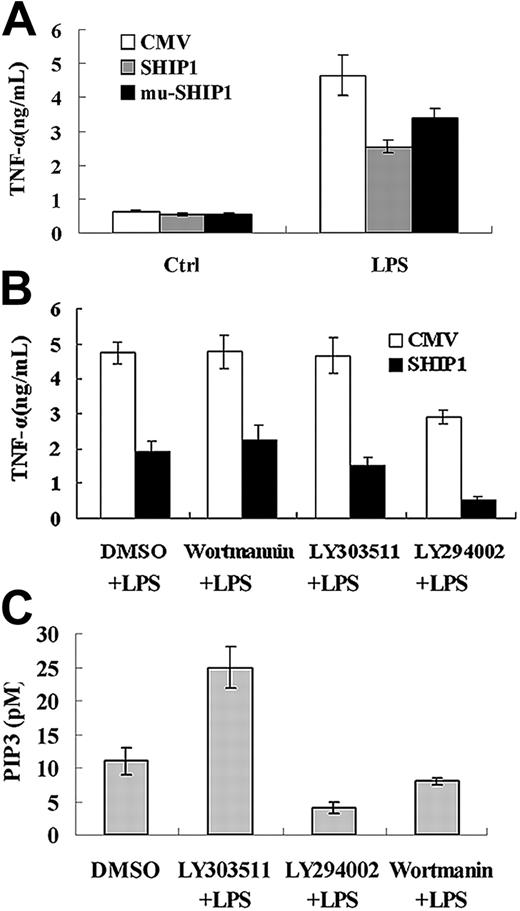 Figure 5. SHIP1 inhibits LPS-induced TNF-α production primarily via a phosphatase activity- and PI-3K-independent mechanism in macrophages. (A) Overexpression of wild-type SHIP1 and phosphatase activity-disrupted mutant SHIP1 inhibits LPS-induced TNF-α production in macrophages. RAW264.7 macrophages (2 × 105) stably transfected with control vector, SHIP1 plasmid, or mutant SHIP1 were stimulated with 100 ng/mL LPS for 8 hours or left unstimulated; concentrations of TNF-α in the supernatants were measured by ELISA. (B) SHIP1 inhibits LPS-induced TNF-α production in the presence of PI-3K inhibitors in macrophages. RAW264.7 macrophages (2 × 105) stably transfected with control vector or SHIP1 plasmid were stimulated with 100 ng/mL LPS in the presence of DMSO, 100 ng/mL wortmannin, 30 μM LY303511, or 30 μM LY294002 for 8 hours, then concentrations of TNF-α in the supernatants were measured by ELISA. (C) LY294002 and wortmannin sufficiently inhibit PI-3K activity in macrophages. RAW264.7 macrophages were pretreated with 30 μM LY294002 (also included in the enzyme reaction), 100 nM wortmannin for 40 minutes, or left untreated. Then the cells were stimulated with 1 μg/mL LPS for 10 minutes. PI-3K activity in the cells was assayed as described in “Materials and methods,” under “Assay of PI-3K activity.” For LY294002-treated cells, LY294002 was also added to the reaction mixture. The amount of PI(3,4,5)P3 produced in the reactions was proportional to PI-3K activity. Data are shown as mean ± SD (n = 3) of one typical experiment. Similar results were observed in 3 separate experiments.