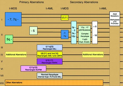 Different genetic pathways in tMDS and tAML. Reprinted with permission from Pedersen-Bjergaard et al. 7