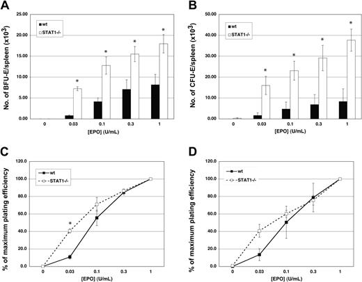 Figure 2. BFU-Es and CFU-Es are enhanced in STAT1–/– splenocytes. In vitro hematopoietic colony formation was examined in methylcellulose supplemented with 3% kit-ligand conditioned medium and varying concentrations of EPO using splenic cells from wild-type and STAT1–/– mice at 8 to 12 weeks of age. (A) BFU-Es were enumerated 7 days after plating. (B) CFU-Es were counted 2 days after initiation of the experiment. The data shown are the mean ± SE for 3 animals (*P < .05). EPO concentration/response curve of the growth of (C) BFU-E–derived and (D) CFU-E–derived colonies in cultures of splenocytes from wild-type (▪) and STAT1–/– (□) mice. The results are presented as a percentage of the maximal colony growth and are the mean ± SE for 3 animals (*P < .05).