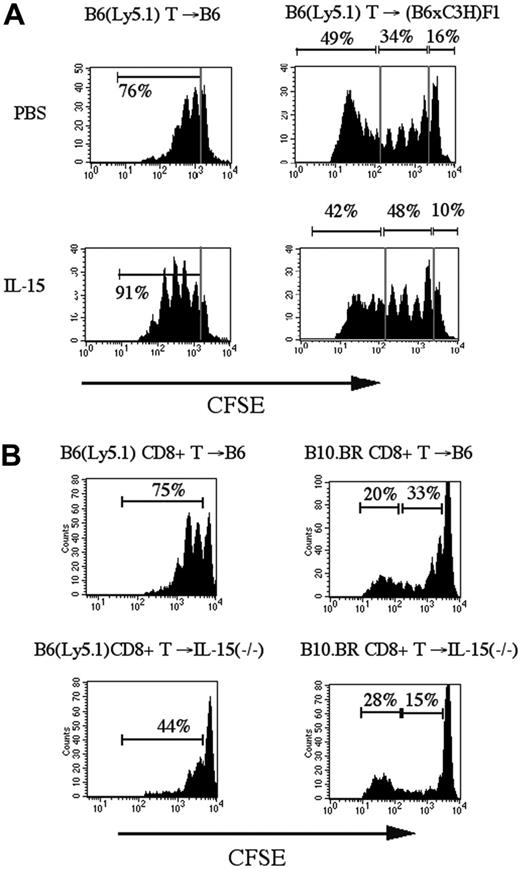 Figure 4. IL-15 administration increases homeostatic proliferation of CD8+ T-cells in syngeneic and allogeneic recipients of CFSE labeled T-cell infusion. (A) Sublethally irradiated B6 (Ly5.1+) (SYN) or (B6xC3H)F1 (ALLO) recipients were infused with CFSE-labeled B6-purified T-cells (2 × 107). The recipients received 2.5 μg/d IL-15 or PBS (control) on days 0 to 3. On day 3, splenocytes were harvested and stained with anti-CD8 antibodies for flow cytometric analysis. A representative experiment of 3 is shown. (B) Sublethally irradiated B6 (Ly5.1+) or IL-15-/- recipients were infused with CFSE-labeled B6 (SYN) or B10.BR (ALLO) purified CD8+ T-cells (5 × 106). Harvesting, staining, and flow cytometric analysis of splenocytes were as in panel A. The corresponding percentages of the marked regions are shown in each plot.