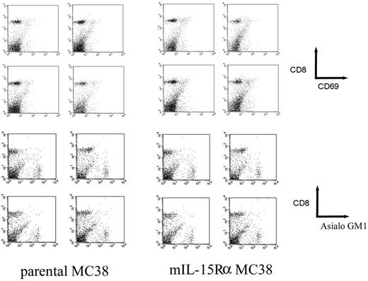 Figure 2. Flow cytometry analyses of CD8 T cells from mice challenged by parental MC38 and its IL-15Rα–transfected clone. Lymphocytes were separated (day 1, day 4, day 7, and day 14 after injection) from spleens of wild-type mice challenged by MC38 cells or their IL-15Ra transfected clone (mIL-15Rα+ MC38) and were analyzed for their expression of surface markers (CD8 versus CD69 or CD8 versus Asialo GM1) by flow cytometry.