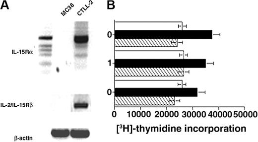 Figure 3. Evidence that IL-15 does not directly modulate the proliferation of MC38 cells. (A) No expression of IL-15Rα or IL-2/IL-15Rβ in MC38 cells. Expression of these molecules in MC38 cells was assessed by RT-PCR. Lanes: DNA marker (1-kb ladder; Invitrogen, Carlsbad, CA), MC38, CTLL2 (from left to right). Marker band size (from top to bottom) was 517/506 (doublet), 396, 344, 298, 220/201 (doublet). Due to the presence of multiple splice variants of the IL-15Rα transcript expressed by CTLL2 cells, at least 3 amplicons were detectable. In contrast, no band was amplified from MC38 mRNA. Amplification of the β-actin fragment from cDNA of MC38 or CTLL2 transcripts was confirmed as a loading control. Primer sets were IL-15Rα: SN, 5′-ATGGCCTCGCCGCAGCTCCGG-3′, AS, 5′-TAGAGATGGCCACTTTCGTCATTTTGG-3′; IL-2/IL-15Rβ: SN, 5′-CTT GGA GAT GCT GAT CCC TAG TAC-3′, AS, 5′-GGG AGC TCA GCT GGG AGA AGA ACT-3′. (B) Proliferative responses of MC38 cells and their IL-15Rα–transfected clones to IL-15. No significant proliferative responses were observed in the presence or absence of IL-15 with parental MC38 cells and their IL-15Rα–transfected clones.