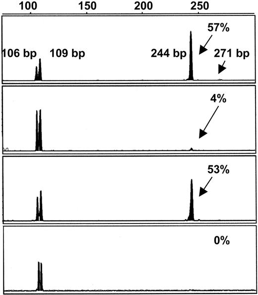 Figure 2. Fragment length analysis by capillary electrophoresis of cut VκA27 PCR products (VκA27 REHMA). Visualization of both TET- and FAM-coupled fragments was allowed, but only FAM fragments appeared in the shown length interval and are indicated in black. Size markers are not visualized for clarity reasons. Diagrams from top: patient no. 11 with a high-mutated fraction, followed by patient no. 4 with a low-mutated fraction, control no. 2 with a mutated fraction of 53%, and an unmutated cord blood sample. The peaks of 106 and 109 bp represent the quantity of VκA27 fragments cleaved in one of the 2 hot-spot Fnu4HI restriction sites, respectively. The peaks of 244 bp represent the quantity of VκA27 fragments cleaved in the signal peptide Fnu4HI site, but not cleaved in the hot spot as a consequence of one or 2 mutations eliminating the Fnu4HI sites. The peak of 271 bp (in general a fraction < 1%, as illustrated here) represents VκA27 sequences in which cleavage is prevented by mutation in both the hot spot and the signal peptide restriction sites, as well.
