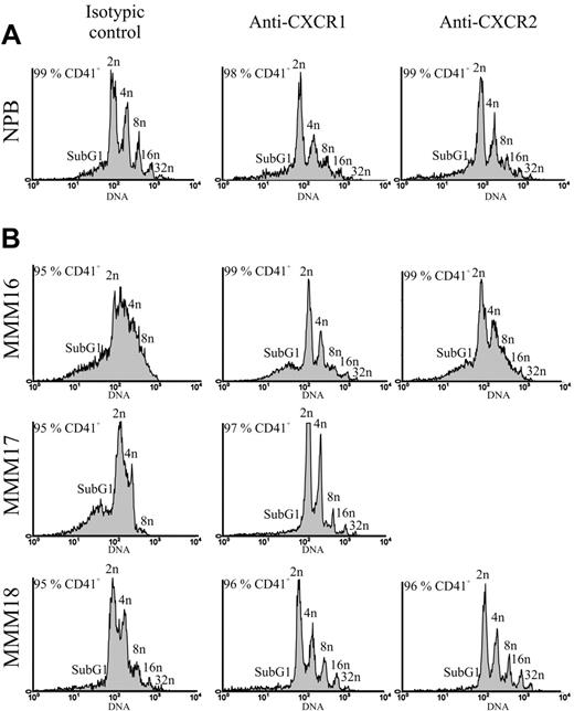 Figure 8. Effect of anti-CXCR1 and anti-CXCR2 antibodies on the ploidy distribution of CD41+ MK cells derived from normal or MMM CD34+ cell culture. Polyploidy was evaluated by flow cytometry analysis, at days 12 to 14 of culture, on CD41+ MK cells grown in either the absence or the presence of anti-CXCR1 and anti-CXCR2 antibodies (10 μg/mL). CD41+ MK cells were stained with PI as described in “Materials and methods.” Histograms show the DNA content of CD41+ MK cells derived from normal (panel A) and MMM CD34+ (panel B) cells. One representative experiment from 3 separate experiments is shown for NPB. patients with MMM were individually analyzed.