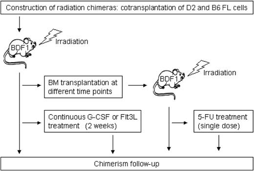 Figure 2. Experimental design.