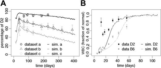Figure 4. Simulation results on strain differences. (A) Effect of the initial D2/B6 ratio. Data points represent the results (mean ± 1 SD) from 3 independent experiments. Data sets a and b used initially transplanted D2 proportions of 80% and 50% FL cells. Data set c (previously published26) used an initial D2 proportion of 20%. However, a different irradiation scheme as in the current study was used in this case. Solid lines represent corresponding average simulation results using identical parameter sets but different initial D2 proportions: a, 85%, b, 50%, and c, 30%. Goodness of fit measures, Δ, are as follows: a, 0.78; b, 0.89; and c, 0.92. (B) Reconstitution in nonchimeric situations. Black (D2) and gray (B6) dots represent mean leukocyte numbers (± 1 SEM) normalized to steady state counts of 6.7 × 106for D2 and 7.4 × 106for B6 mice (previously published33). The solid lines (black, D2; gray, B6) show average simulation results of reconstituting nonchimeric model systems starting from 20 initiating stem cells. Given is the fraction of normal steady state white blood cells in the mature leukocyte compartment of the simulation model using the D2 and the B6 parameter sets, respectively.