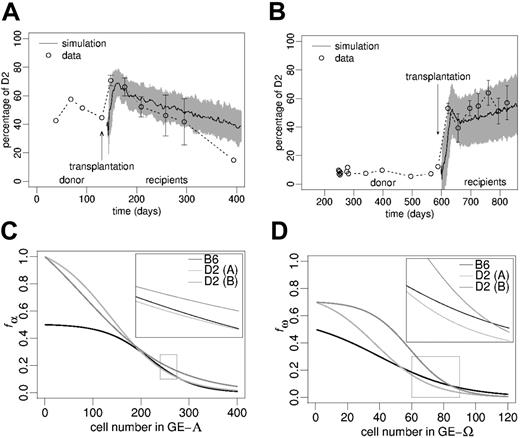 Figure 5. Chimerism development in secondary hosts after BM transplantation.(A-B) The circles show the experimentally observed peripheral blood leukocyte chimerism in 2 individual primary radiation chimeras (single values) and in corresponding cohorts of secondary host mice (mean ± SD). The solid lines show average simulations (gray shade: simulation SD) for the chimerism development in the secondary chimeras (goodness of fit measures, Δ: (A) 0.56, (B) 0.80). The simulation scenarios in panels A and B differ with respect to transition characteristics (C-D) and the initiating D2/B6 ratio according to the experimental situation. (C-D) Transition characteristics used to generate the simulations in panels A and B, respectively. The zoomed regions represent the regulatory windows responsible for long-term chimerism development in fully reconstituted systems.
