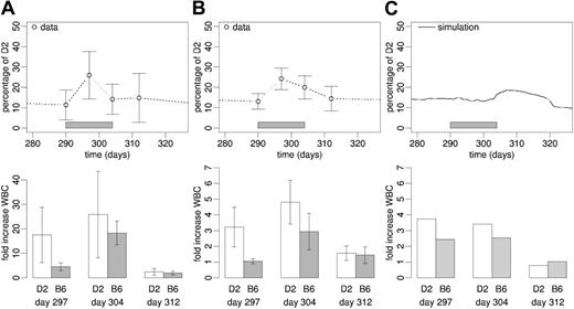 Figure 6. Cytokine stimulation. Experimental data (mean ± SD) of (A) rhFlt3-ligand and (B) rhG-CSF stimulation of stabilized (day 290 after transplantation) primary radiation chimeras. (C) Corresponding average simulation result of cytokine stimulation (no difference assumed for rhFlt-3-ligand and rhG-CSF effects). In all panels, the upper graphics show the chimerism development, with gray bars representing the period of cytokine stimulation. The lower graphics show white blood cell counts at day 7, 14, and 21 after the start of treatment, relative to pretreatment levels.