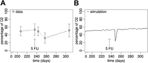 Figure 7. Cytotoxic treatment. (A) Experimental data (mean ± SD) and (B) average simulation on chimerism development after disturbance of stabilized secondary chimeras (day 239 after bone marrow transplantation) by a single dose of 5-FU.
