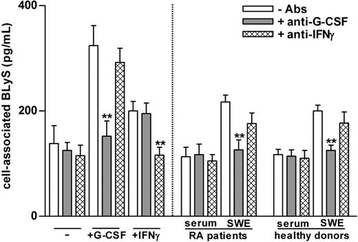 Figure 1. SWEs induce the production of BLyS by neutrophils: role of G-CSF. Serum samples and SWEs obtained from patients with RA and healthy subjects were preincubated for 2 hours at 37°C in the presence or absence of neutralizing anti–G-CSF or anti–IFN-γ antibodies (5 μg/mL) and were added (at a final 20% vol/vol concentration) to neutrophils (2 × 106/400 μL) isolated from healthy subjects. As control, neutrophils were also incubated with 100 U/mL G-CSF or IFN-γ. Mean ± SEM of cell–associated BLyS to neutrophils cultured for 20 hours are shown (n = 3). **Significant inhibitory effects of anti–G-CSF antibodies (P less than .001).